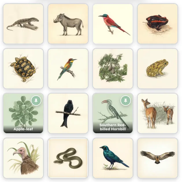 A four by four nature Bingo grid featuring local animals, birds, and plants