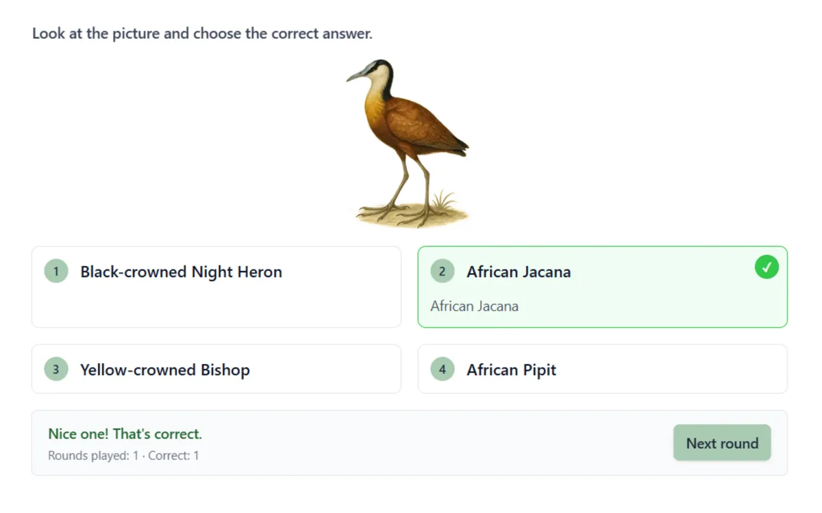 An interactive Lumabit bird identification exercise with immediate feedback