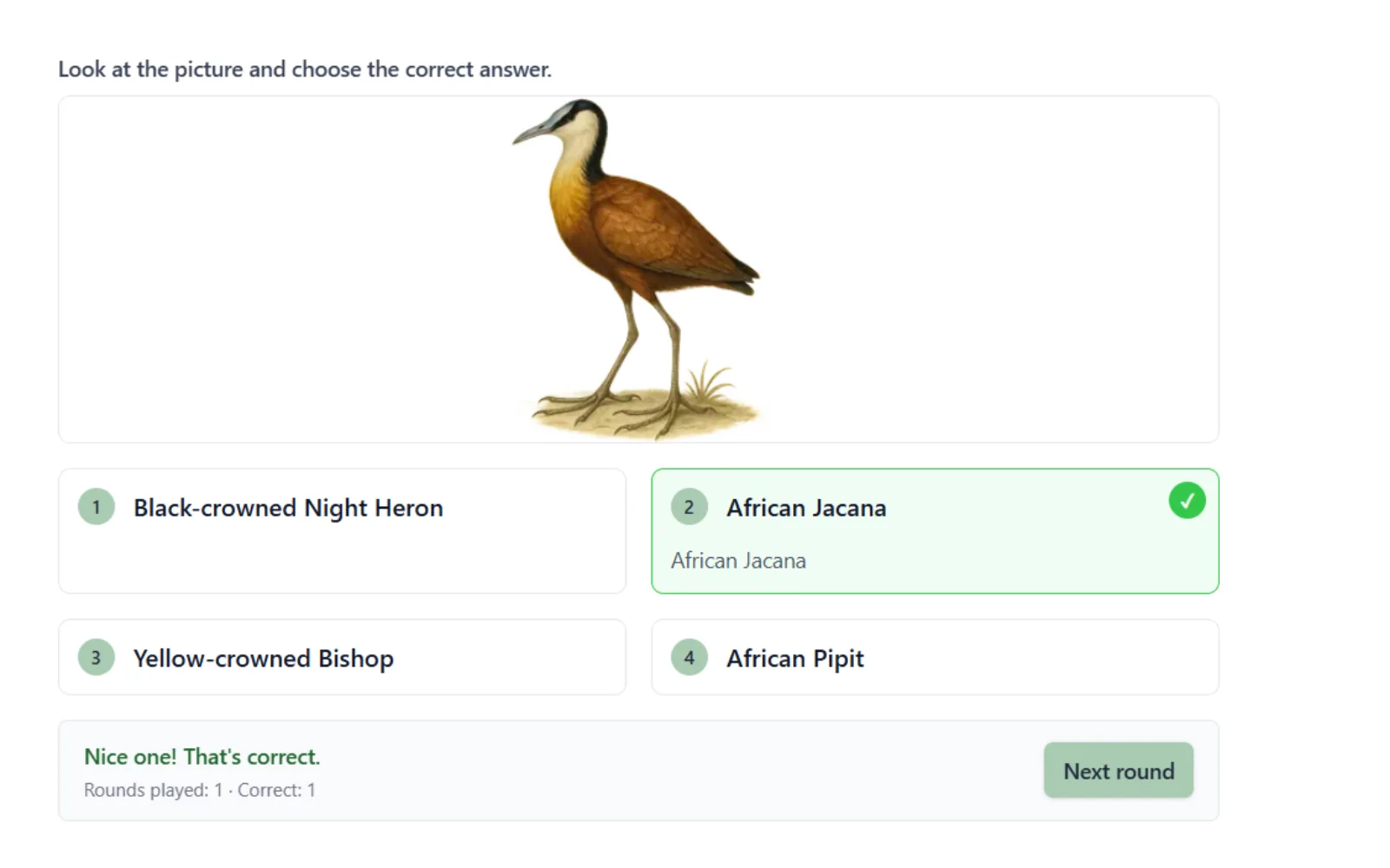 An interactive Lumabit bird identification exercise with immediate feedback