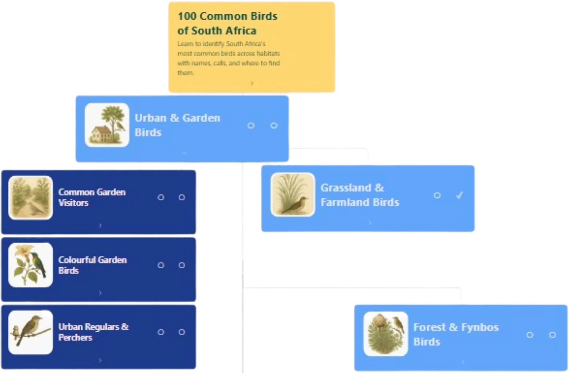 Lumabit roadmap visual